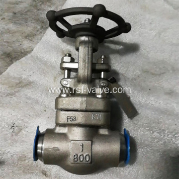 API602 Duplex Stainless Forged Steel F53 Gate Valve